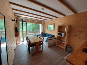 Studio cosy 4 pers proche pistes, balcon, casier à ski - FR-1-516-204